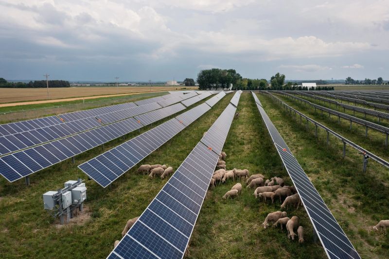 BBN_SolarSheepMN_DJI_0991